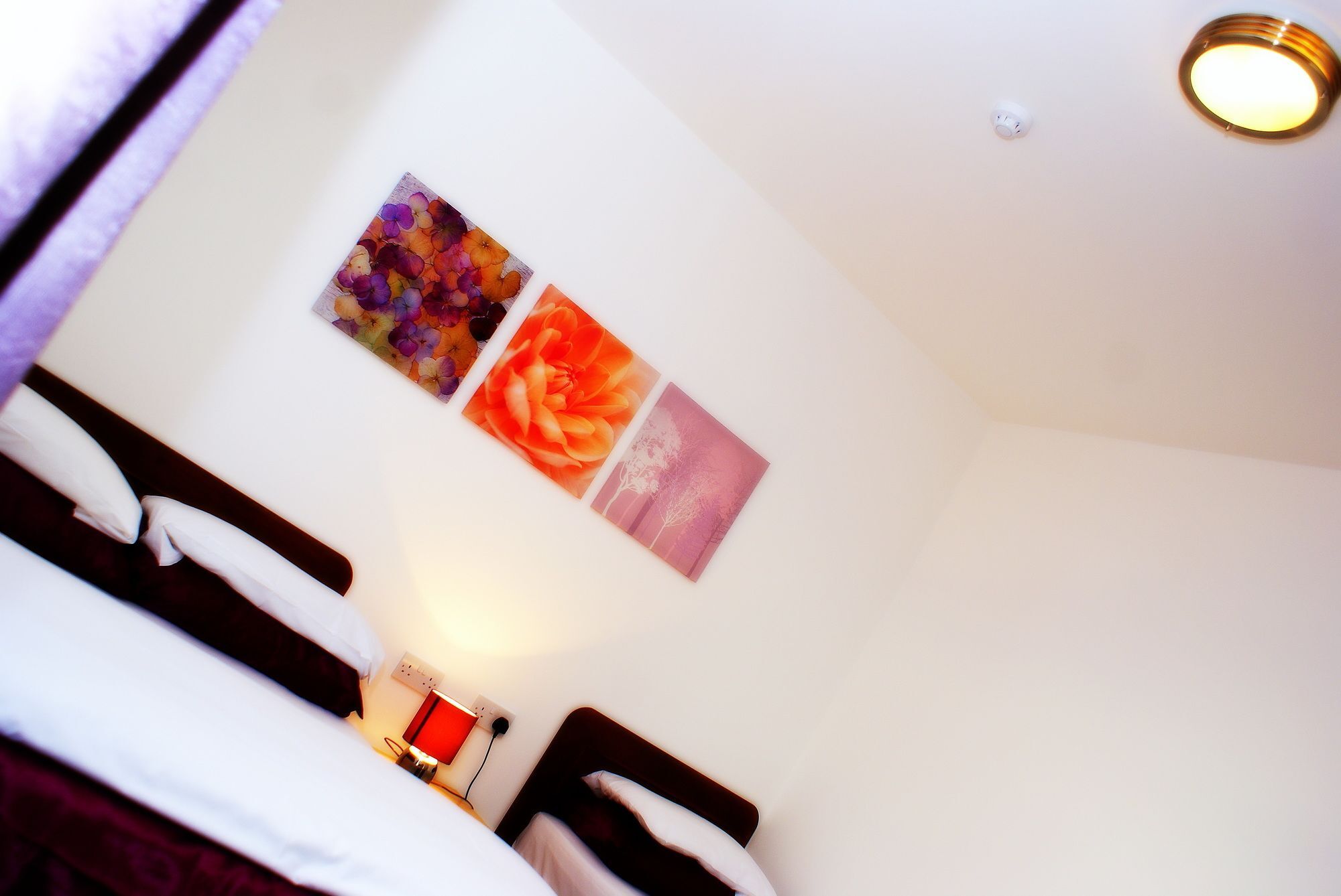 The Hindes Hotel ฮาร์โรว์ ภายนอก รูปภาพ